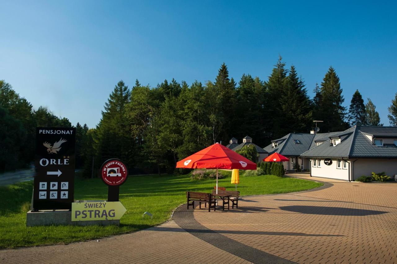 Pensjonat Orle Krynica Zdroj Buitenkant foto