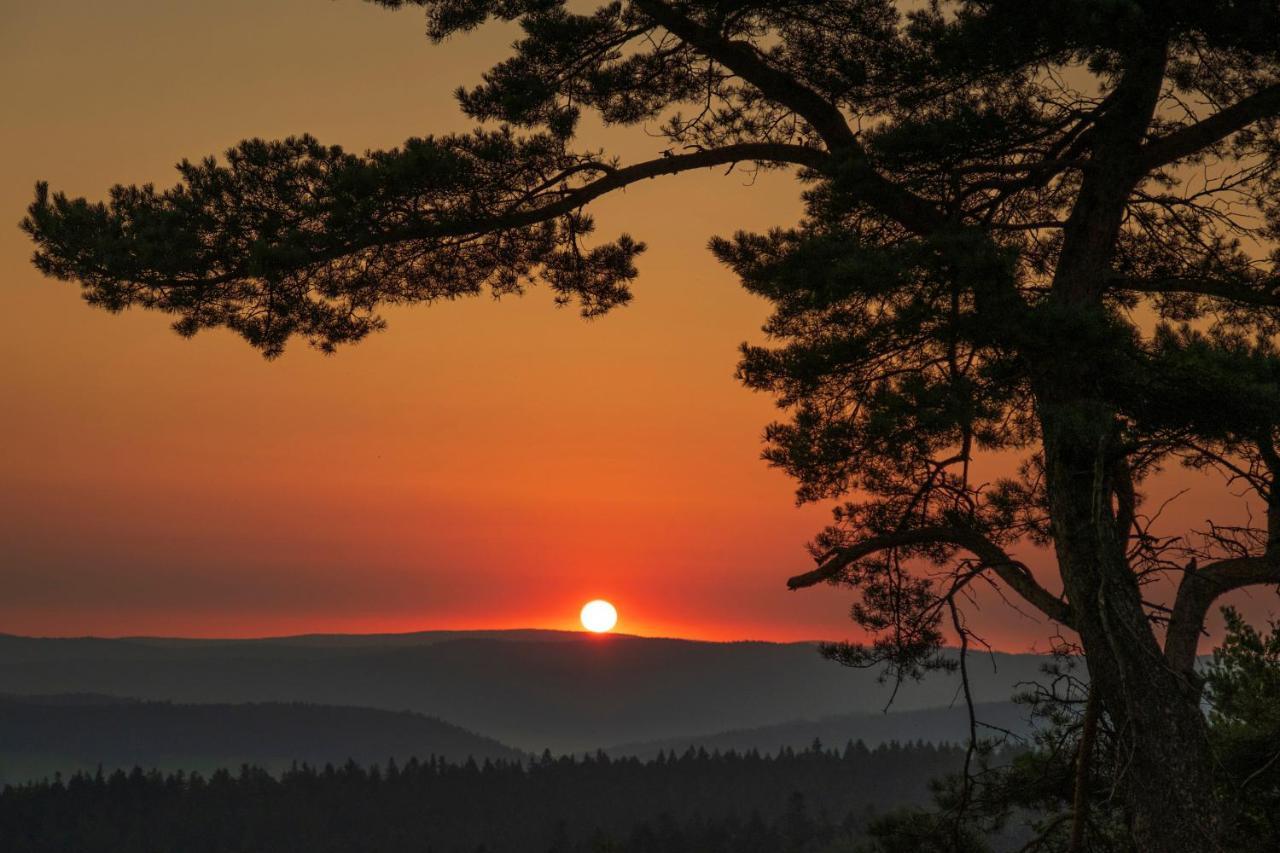 Pensjonat Orle Krynica Zdroj Buitenkant foto