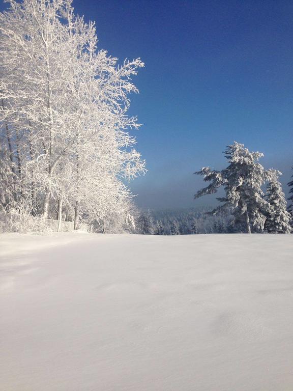 Pensjonat Orle Krynica Zdroj Buitenkant foto