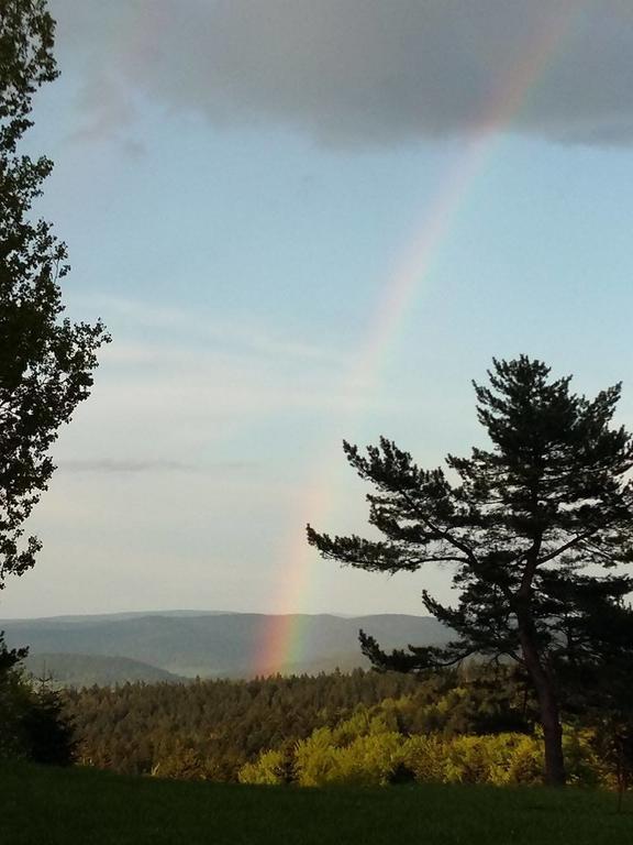 Pensjonat Orle Krynica Zdroj Buitenkant foto