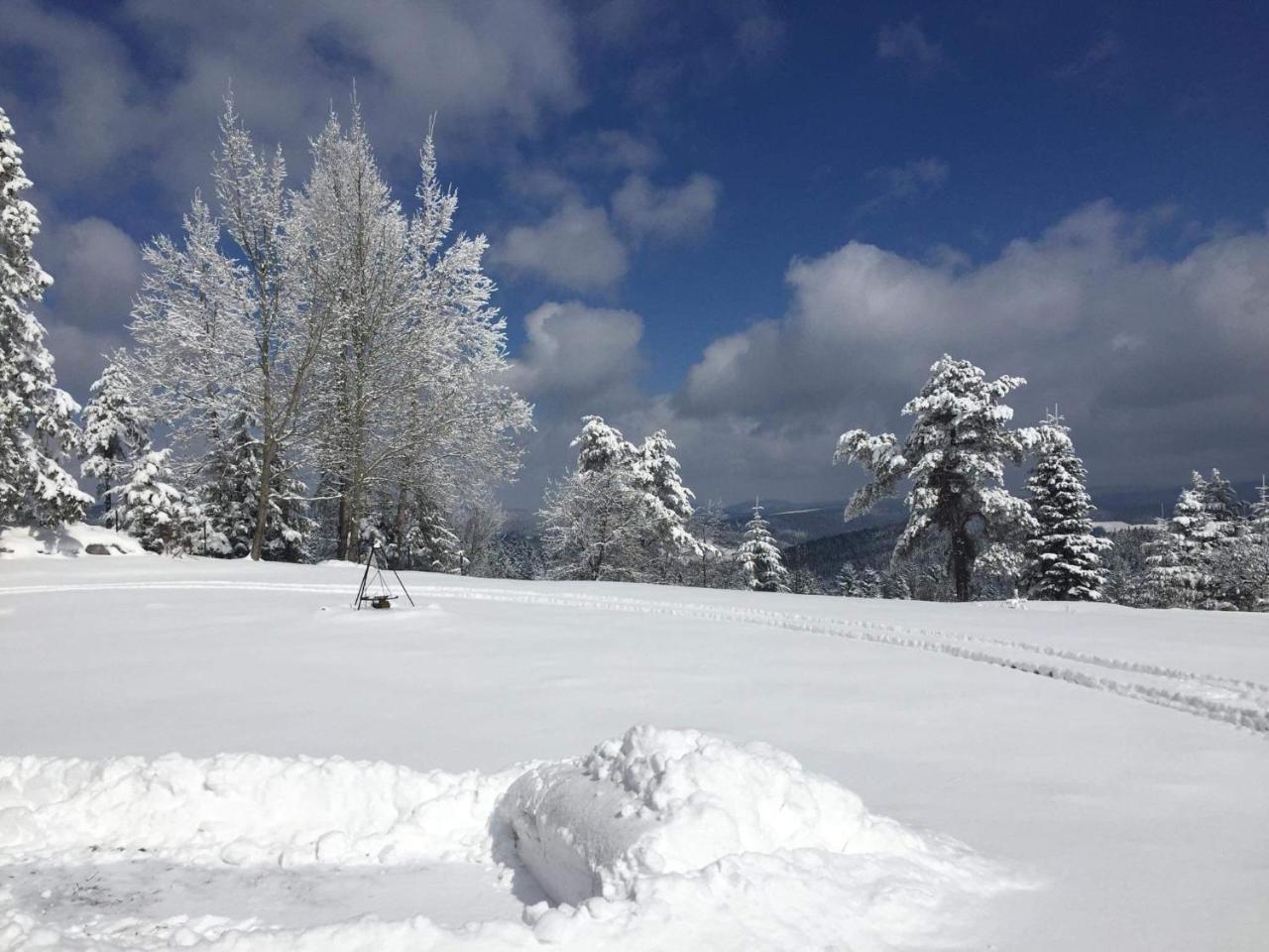 Pensjonat Orle Krynica Zdroj Buitenkant foto