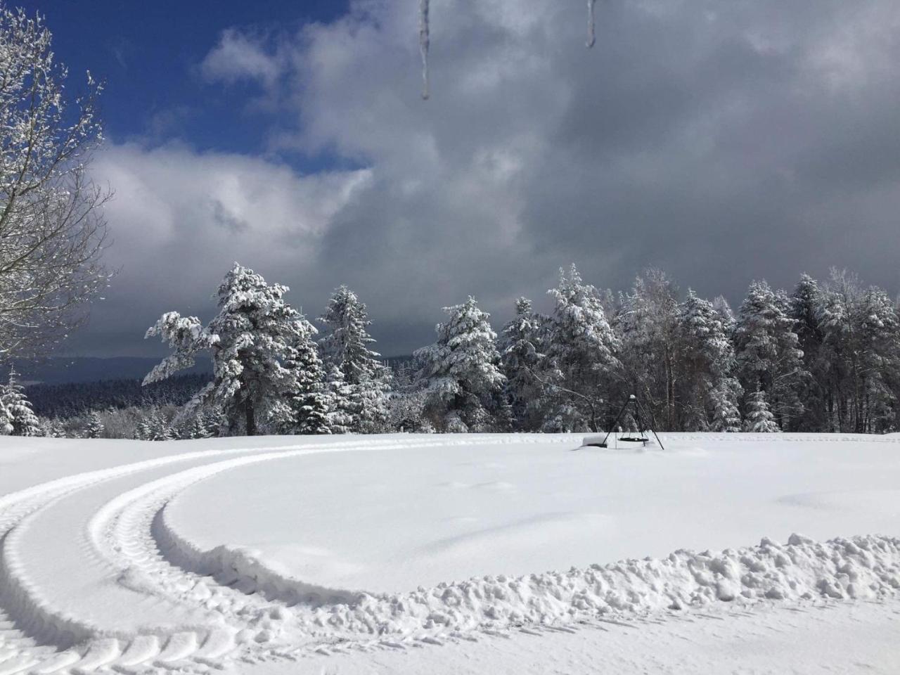 Pensjonat Orle Krynica Zdroj Buitenkant foto